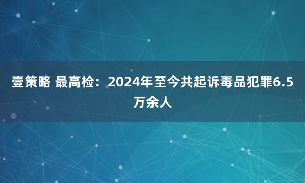 壹策略 最高检：2024年至今共起诉毒品犯罪6.5万余人