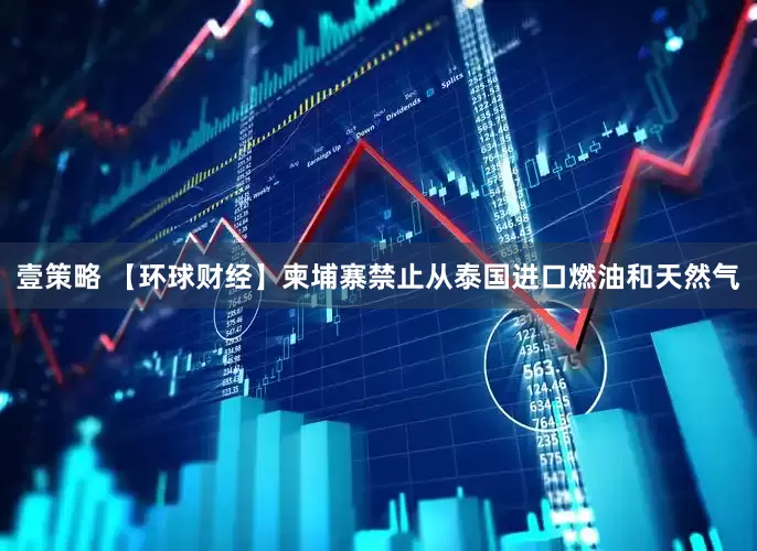 壹策略 【环球财经】柬埔寨禁止从泰国进口燃油和天然气