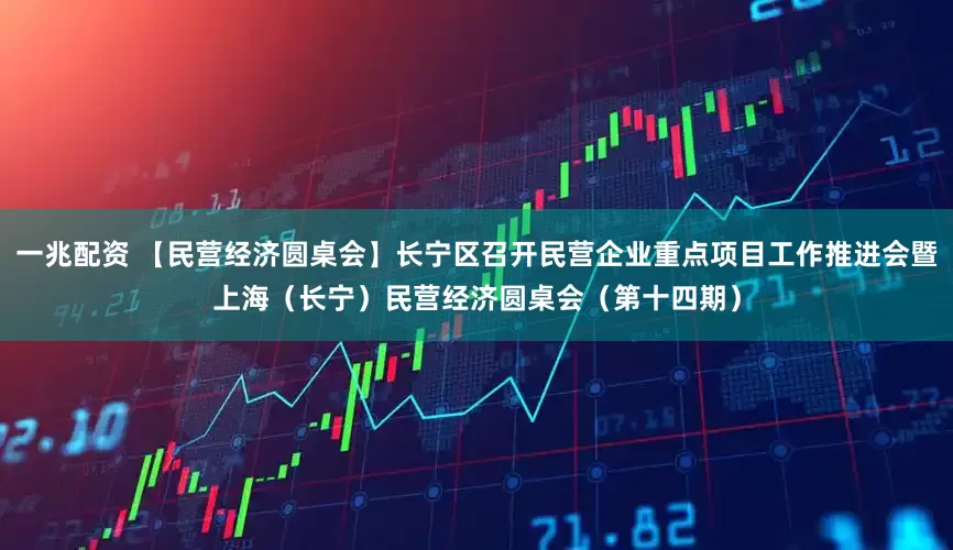 一兆配资 【民营经济圆桌会】长宁区召开民营企业重点项目工作推进会暨上海（长宁）民营经济圆桌会（第十四期）