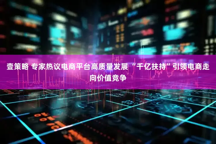 壹策略 专家热议电商平台高质量发展 “千亿扶持”引领电商走向价值竞争
