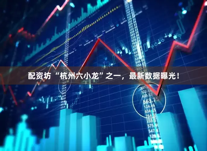 配资坊 “杭州六小龙”之一，最新数据曝光！